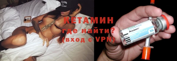 шишки Арсеньев