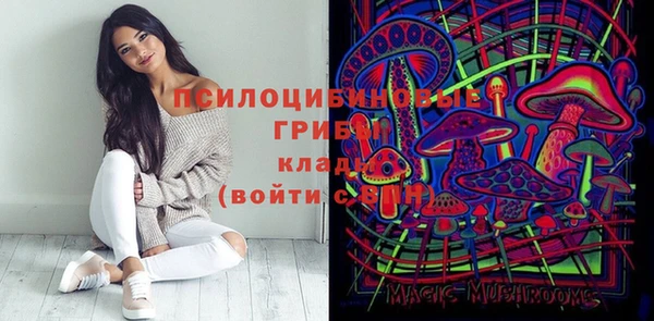 шишки Арсеньев