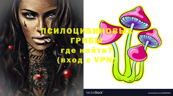 ГАЛЛЮЦИНОГЕННЫЕ ГРИБЫ Армянск