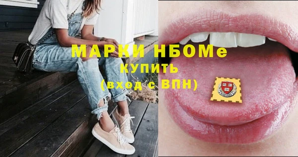 шишки Арсеньев