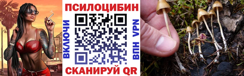 Галлюциногенные грибы Psilocybe  Болгар 